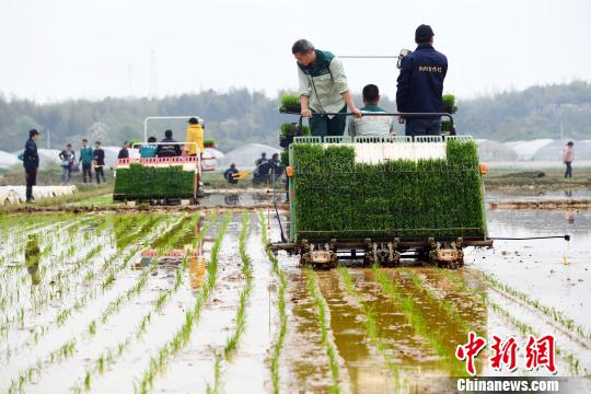 昭通两部门：严厉打击违规骗套农机购置补贴行为